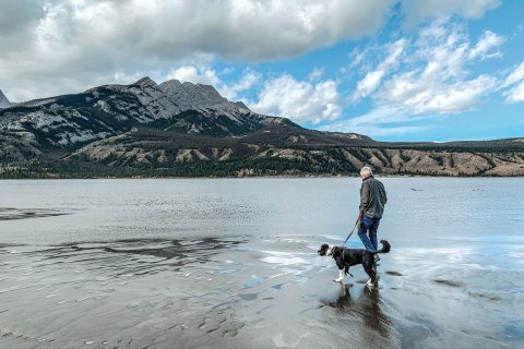 Лучшие места для путешествий с собаками по всему миру.
