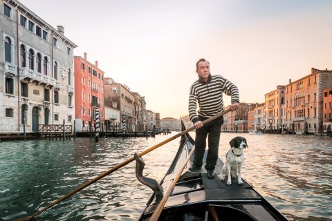 Лучшие места для путешествий с собаками по всему миру.