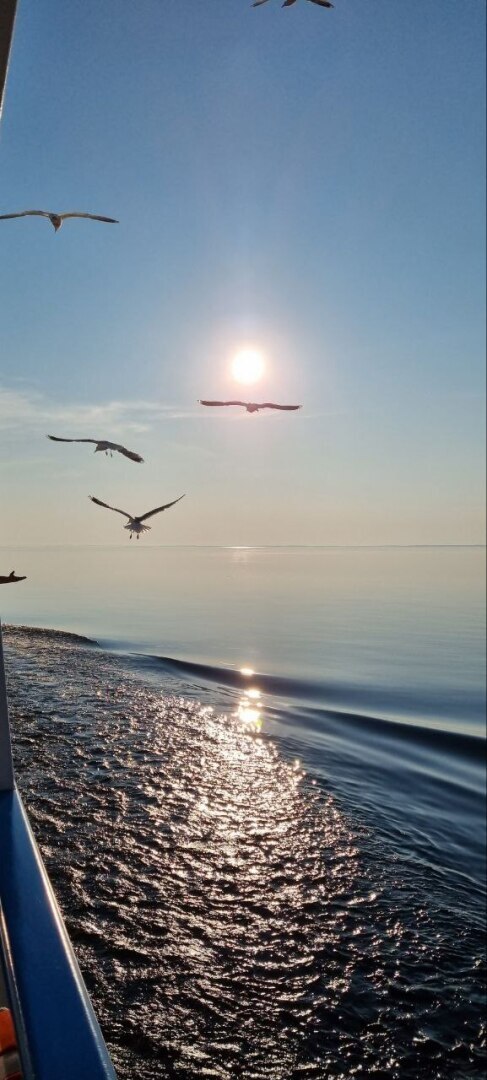 Чудеса на Ивана Купалу