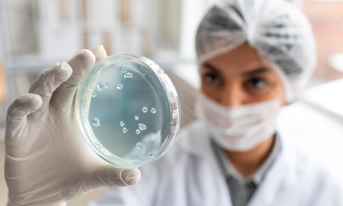 В России выявлен смертельный вирус менингита – ожидать новую пандемию?