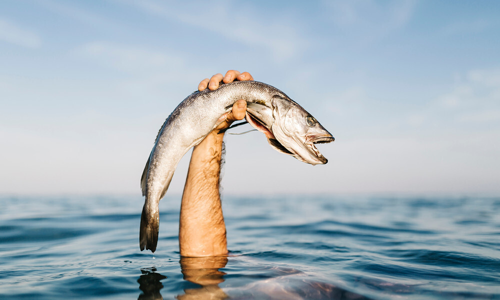 В поисках удачи на рыбалке: секреты успешного лова