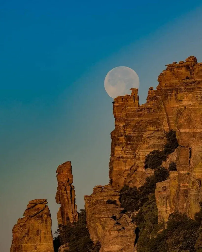 Очаровательное светило.