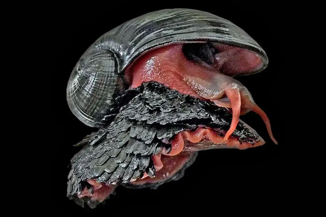 Броня крепка и танки наши быстры !?