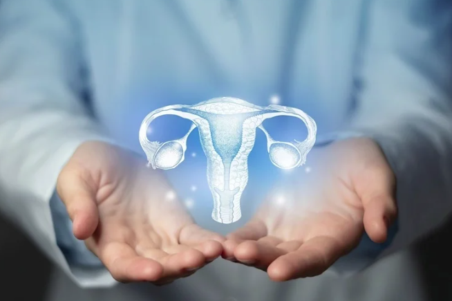 Как В-клетки и андрогены способствуют развитию PCOS