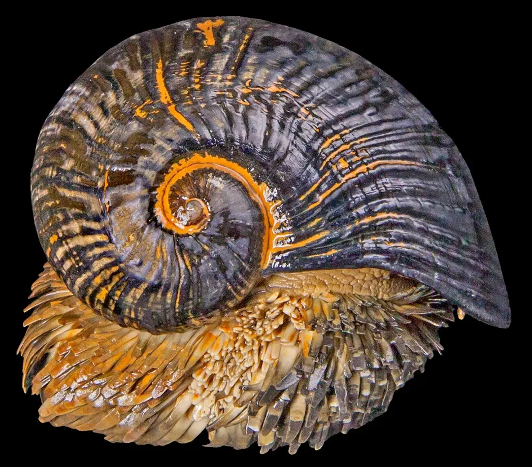 Броня крепка и танки наши быстры !?