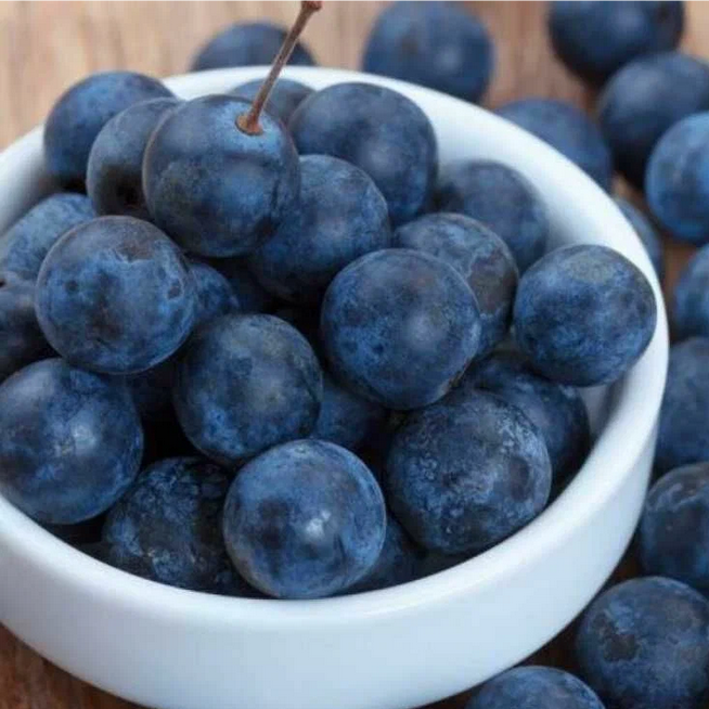 Рассказ про терн