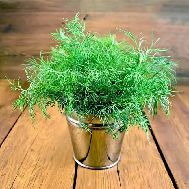 Рассказ про укроп