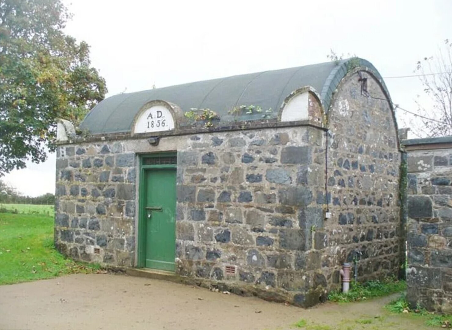 Маленькие чудеса которые реально существуют в нашем мире