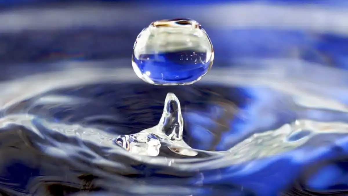 14 лучших лекарств от похмелья по версии интернета