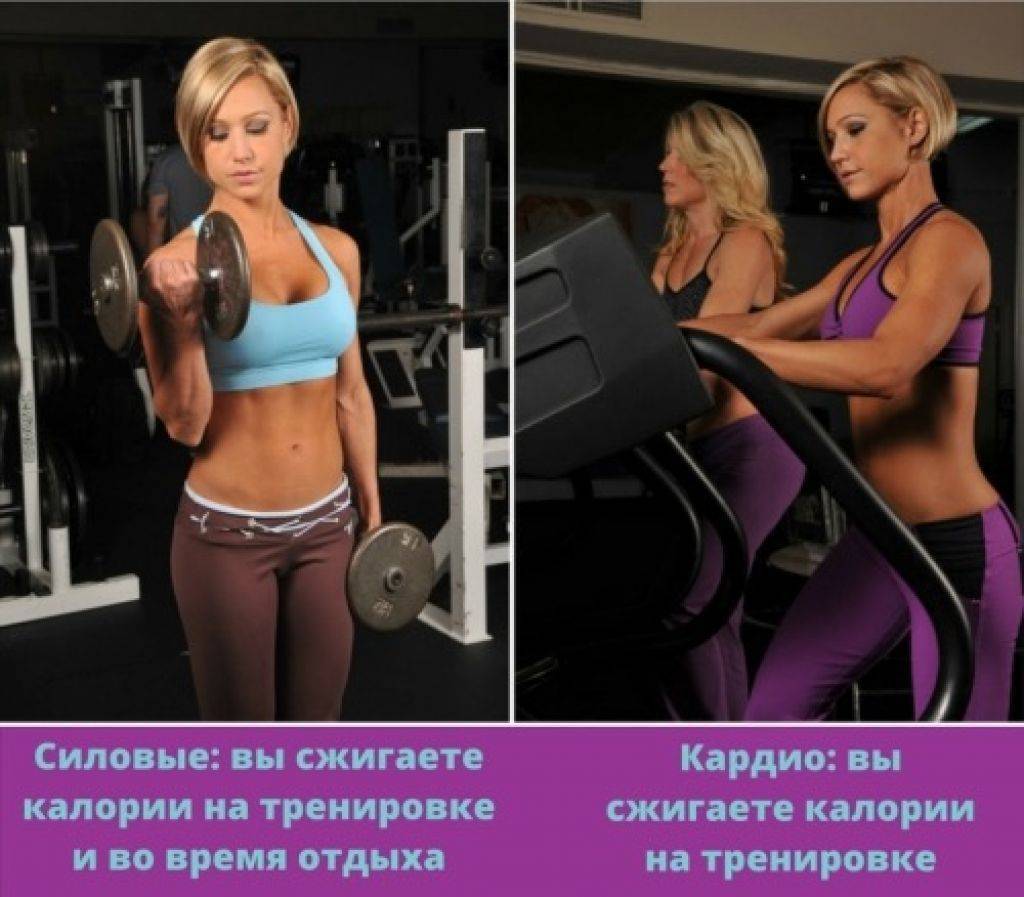 Приговор Тело: Типы телосложения.