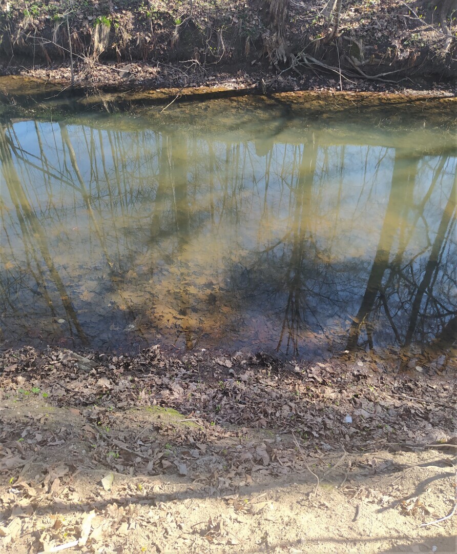 Звёздный австралопитек палеонтологии - Люси