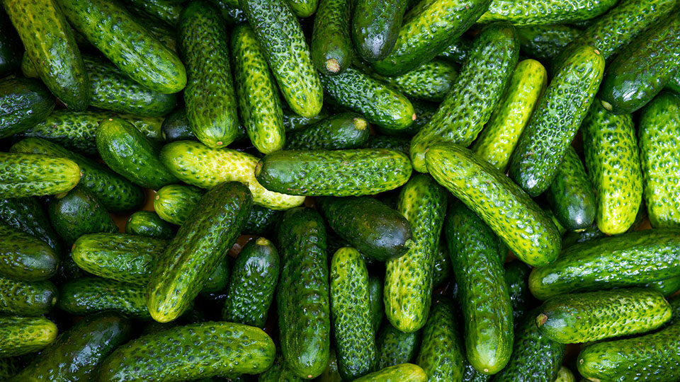 Празднование 15 июля: уникальное сочетание лени, гинекологии, огурцов и истории.