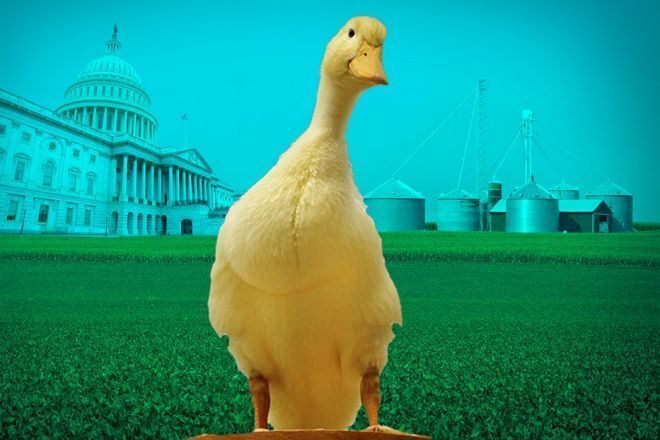 Необычные праздники, отмечаемые в разных уголках мира.