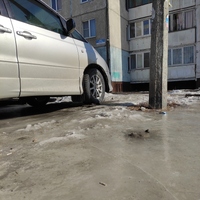IMG_20220315_130738.jpg