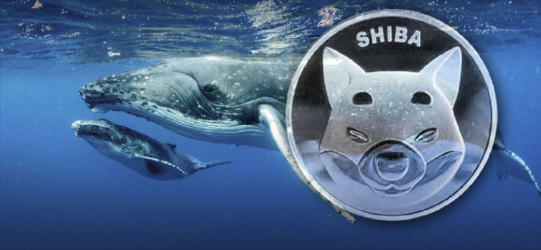 На фоне падения рынка цена SHIB выросла на 7,24% и составила 4,1 трлн.