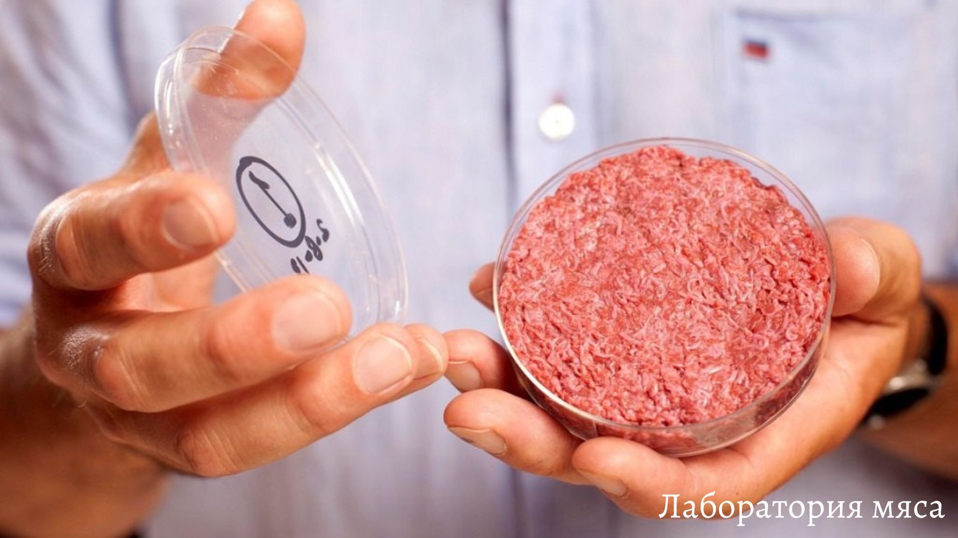 "Выращенное в пробирке: взгляд в будущее производства мяса"