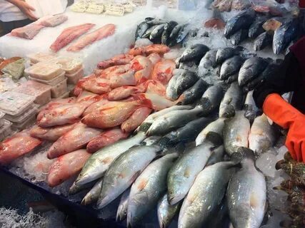 Рыба судного дня: как чрезмерный вылов рыбы может привести к концу морепродуктов