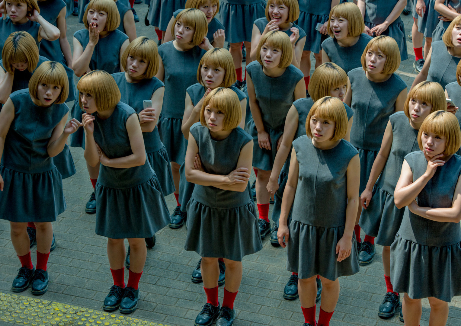 Клонирование домашних животных. Зачем?