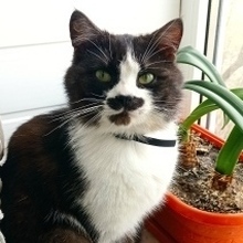 Илья, г. Балаково