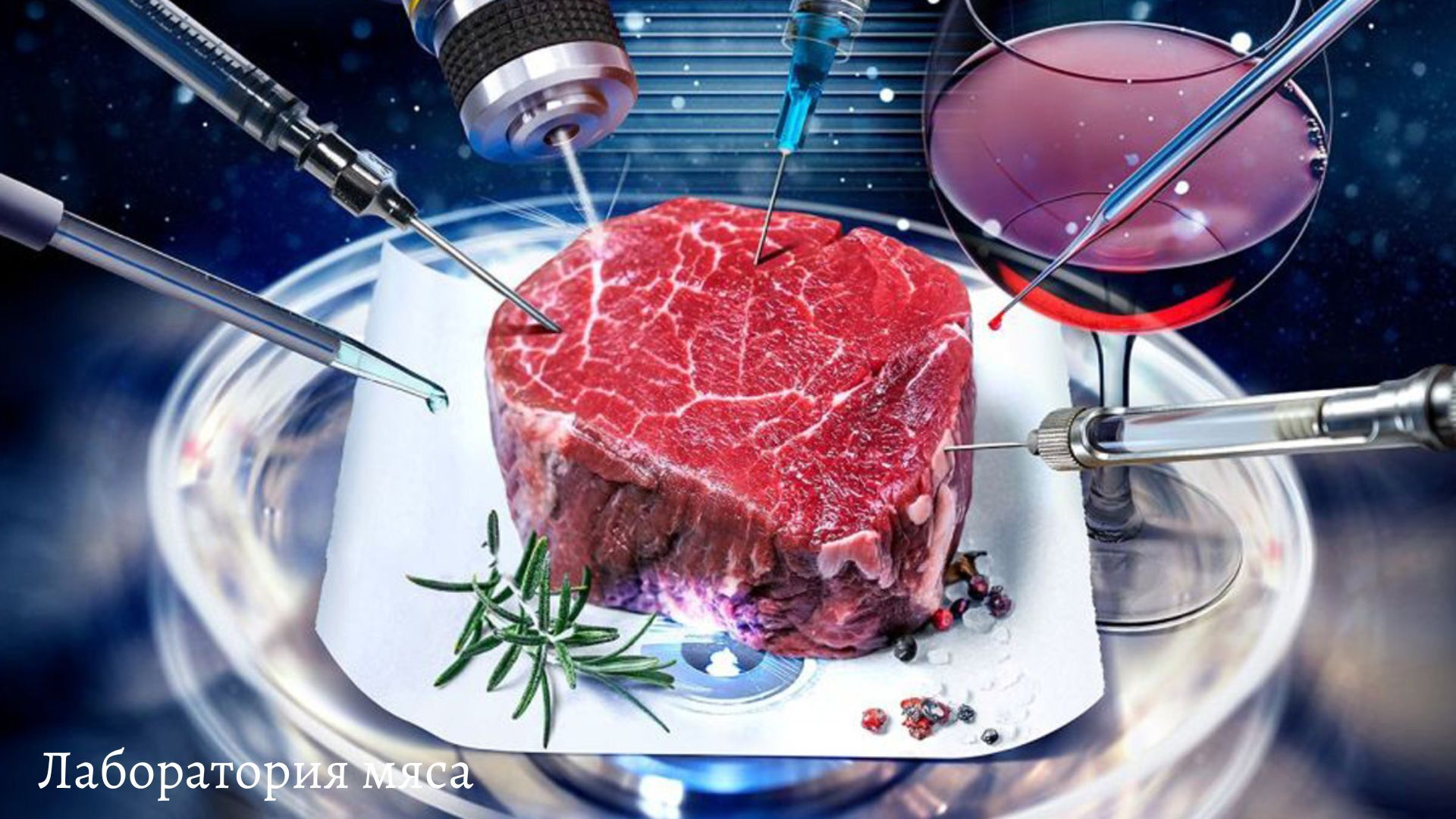 "Выращенное в пробирке: взгляд в будущее производства мяса"