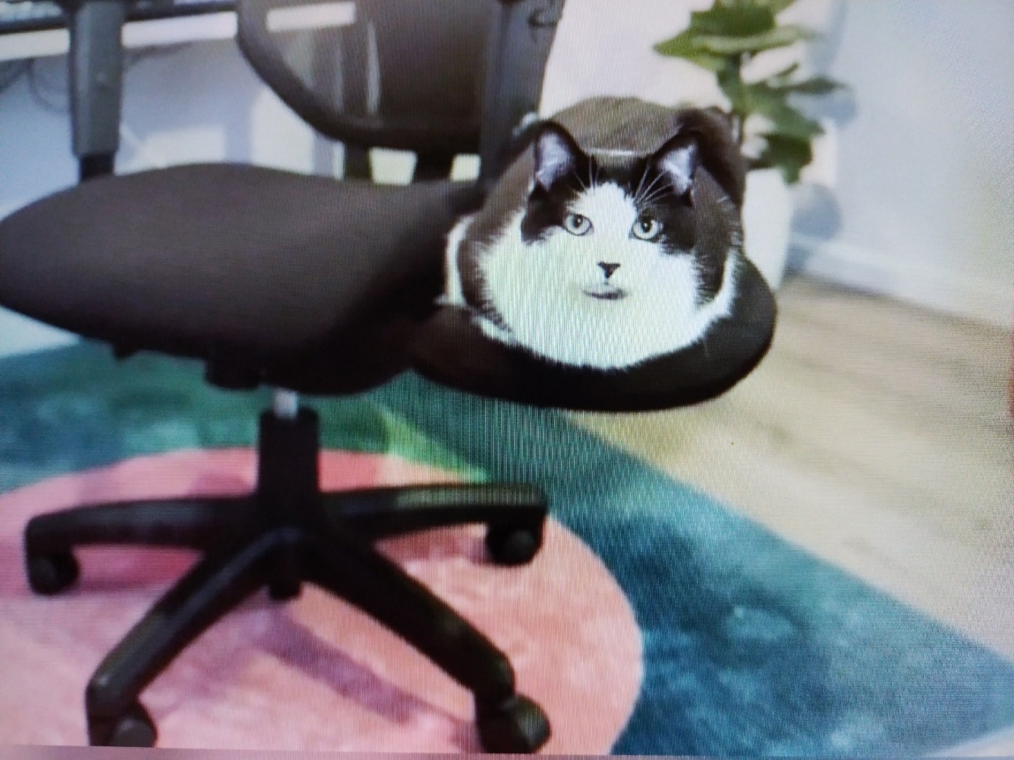 Новый тренд!