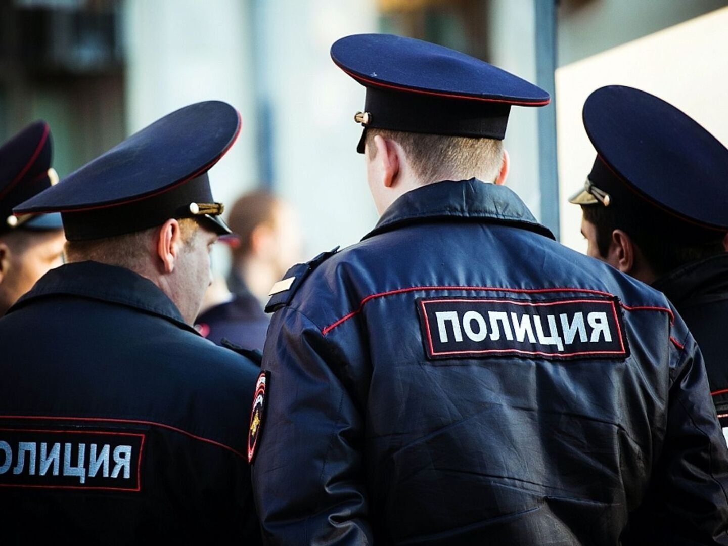 Вы довольны работой участковых?