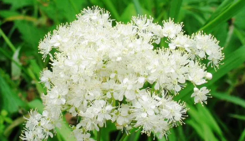 Живу на 100 рублей в день по совету депутата Н. Бондаренко и не плачу