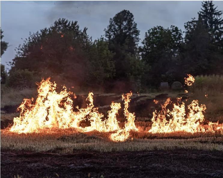 Крымская трасса «Таврида» перекрыта из-за пожара на полигоне