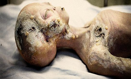 Проект SERPO. США установило контакт с инопланетянами с планеты Серпо и 12 человек улетели туда.