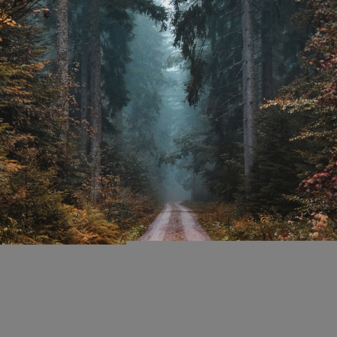 Хотите на лесоповал в тайгу? Да пожалуйста!