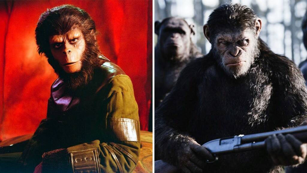 Коротко о жизни самых близких нам существ - обезьян