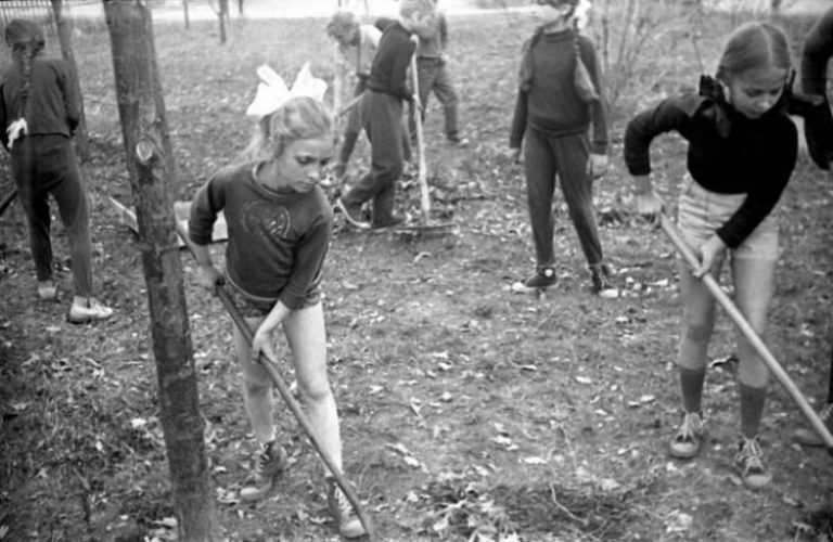 Уроки трудового воспитания детей, в СССР