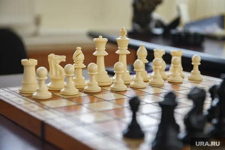 Неадекватный шахматист избил доской трёх человек на турнире в Петербурге