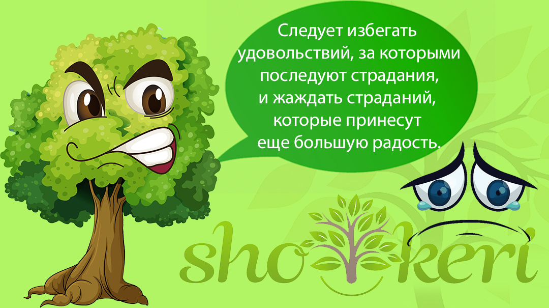 🌱4 разорителя праздничного бюджета и как их победить🌱