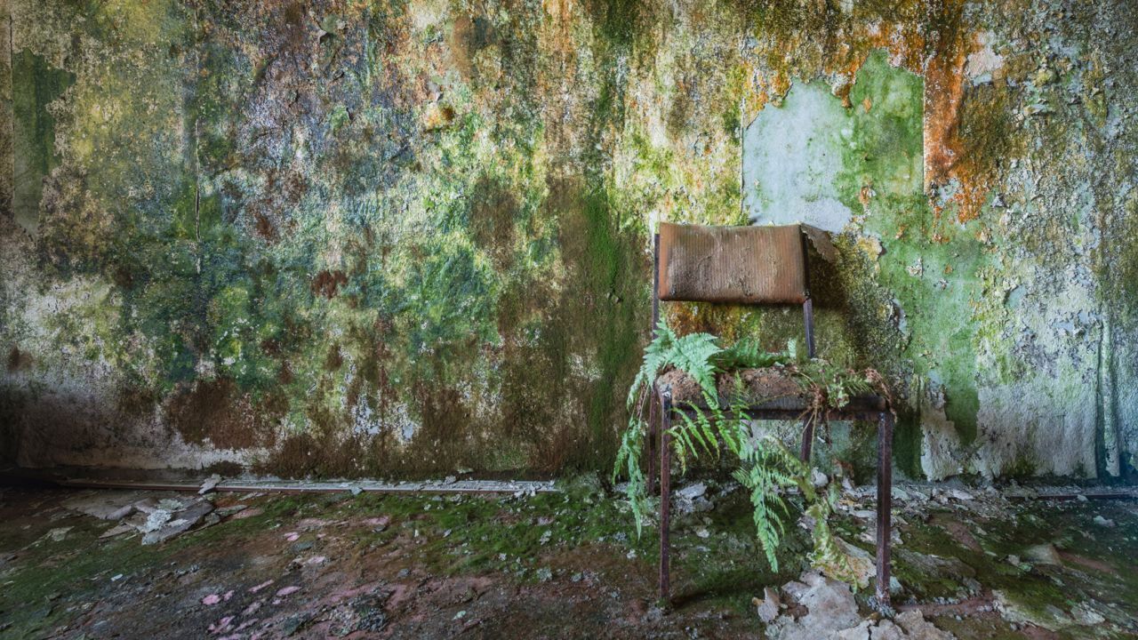 Мир без нас: Заброшенные места, захваченные природой