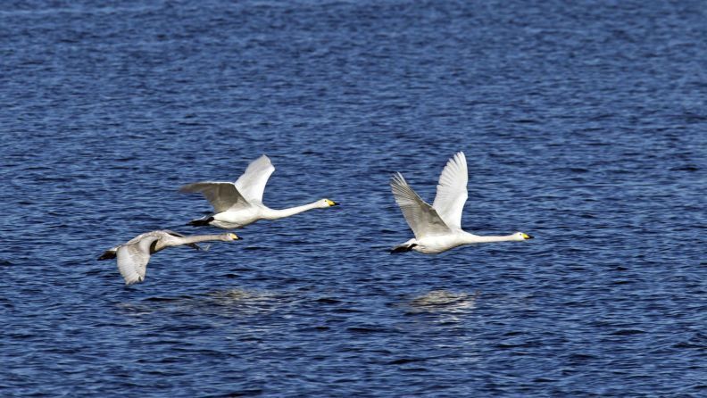Инвестирование миллионов в защиту морской среды