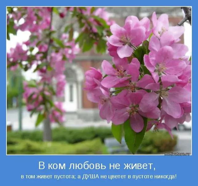 Нужно ли приказывать сердцу?