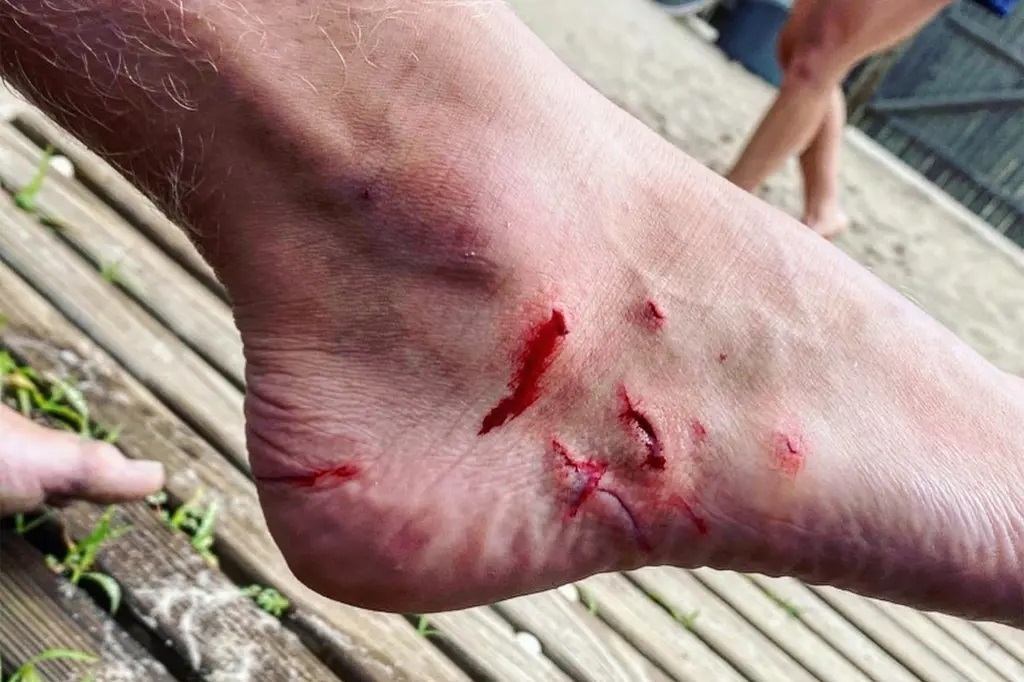 Акулы не смотрят на тебя как на обед.