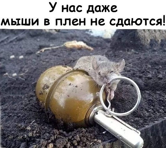 Пришла русским на подмогу?