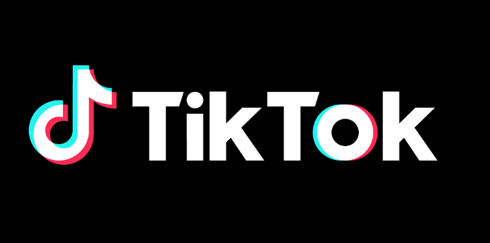 Целых 700 000 турецких учетных записей TikTok были взломаны перед президентскими выборами в стране