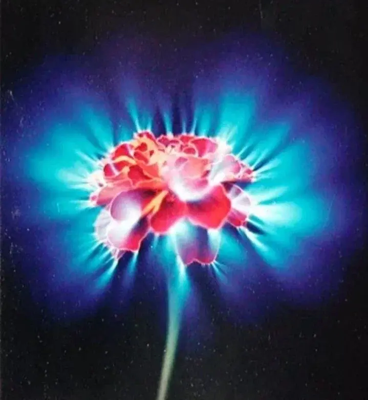 Эффект Кирлиана - супер электромагнитный феномен