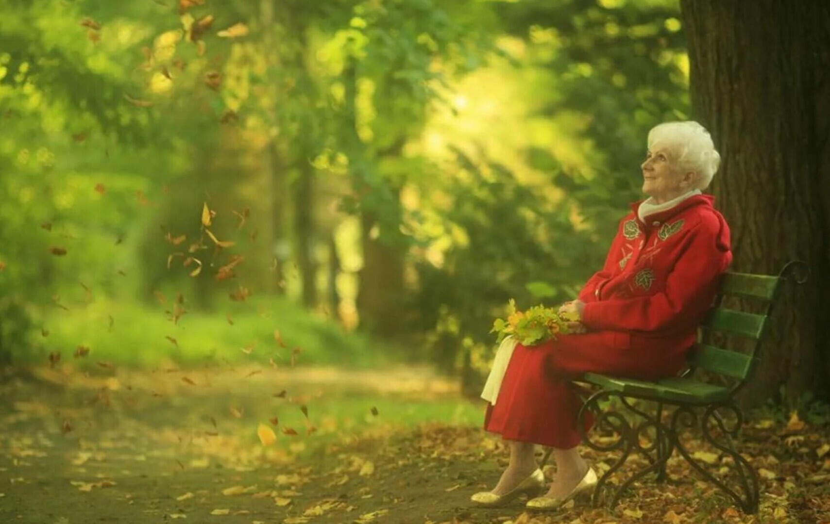 Какой сад был у старушки. Бабушка на скамейке в парке. Бабушка сидит в парке. Бабушка на скамейке осенью. Старик на скамейке в осеннем парке.