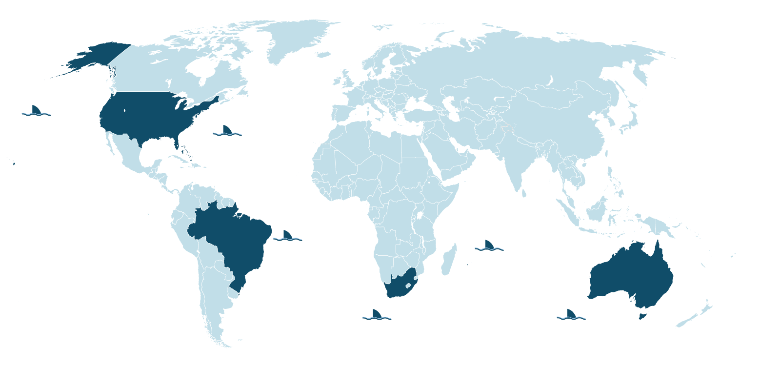 Самые кишащие акулами воды мира