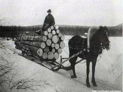 Водители с телефоном в руке, вы же не на лошади едете и не дрова везёте!