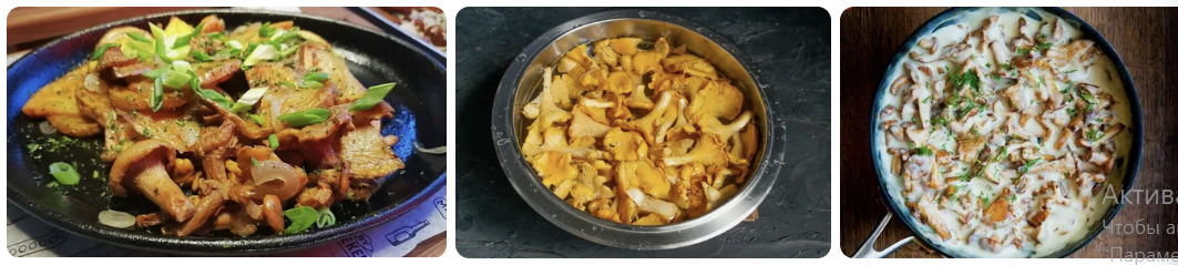 Как искать лисички в лесу? Едят ли лисички черви? Под какими деревьями растут?