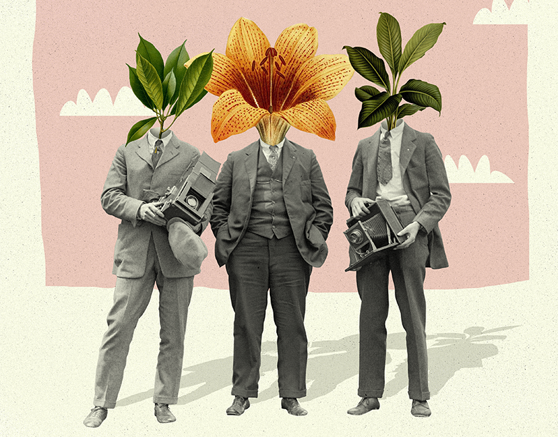 Нормально ли судить людей по внешности. Кое что о лукизме