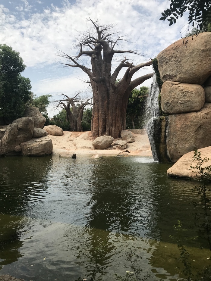 Не только человеческие дети нуждаются в тепле и ласке матери.