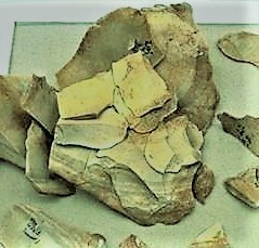 Неандертальский человек: вымерший предок (часть 2-я)