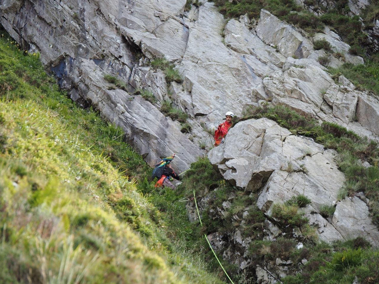 Женщину спасли с горы после попытки найти испуганного домашнего попугая