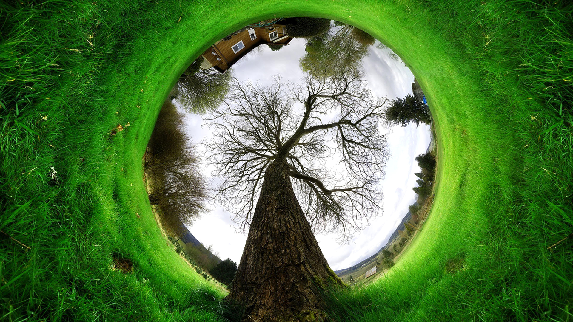 Кто скрывается за аватаркой? Что можно узнать о человеке за ней?